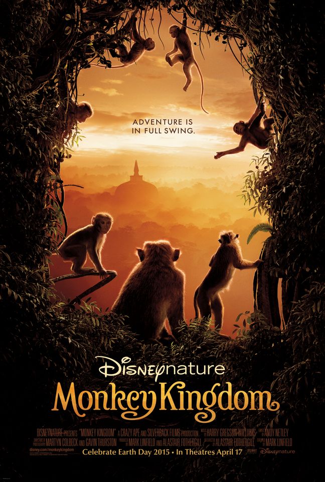 ดูหนังออนไลน์ฟรี Disneynature Monkey Kingdom (2015) อาณาจักรลิง จากป่าไม้สู่ป่าเมือง [[ซับไทย]]